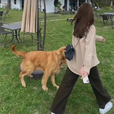 千万人家粤语